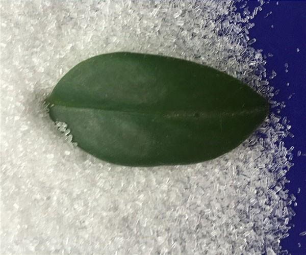 硫酸鎂廠家介紹生產(chǎn)硫酸鎂肥的技術(shù)特點